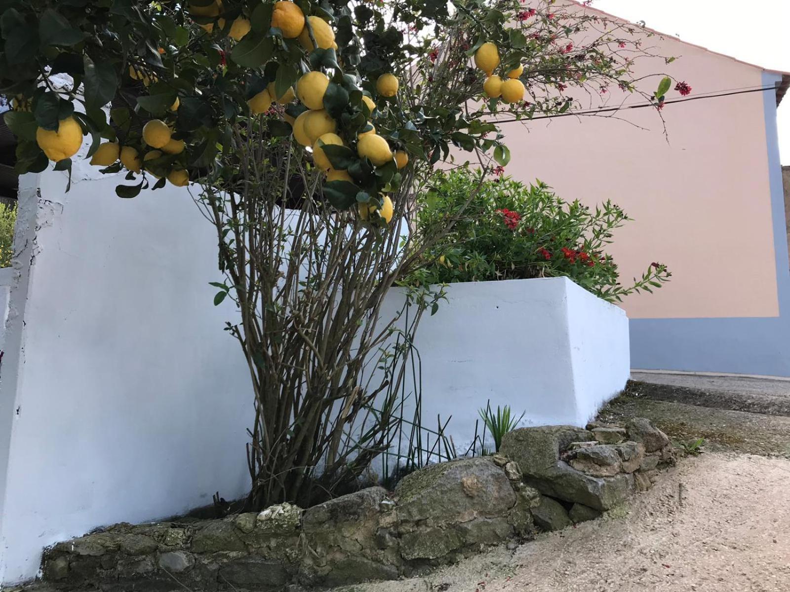 Casas Bemposta Villa Monchique Ngoại thất bức ảnh