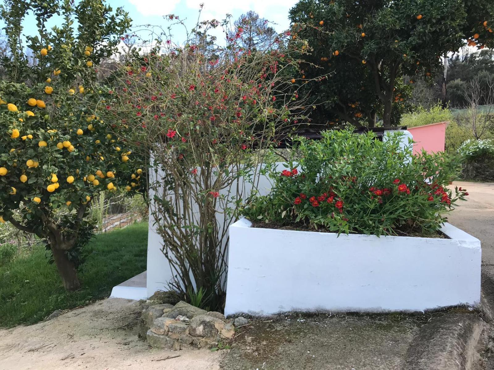 Casas Bemposta Villa Monchique Ngoại thất bức ảnh